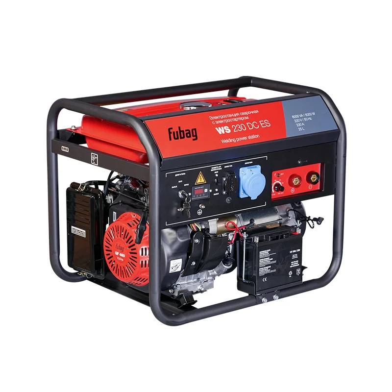 FUBAG WS 230 DC ES — 646247 FUBAG WS 230 DC ES — общий вид спереди